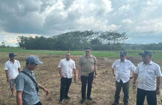 Kemenko Infrastruktur Dukung Swasembada Pangan di Sambas, Fokus pada Rehabilitasi Irigasi dan Aspirasi Petani