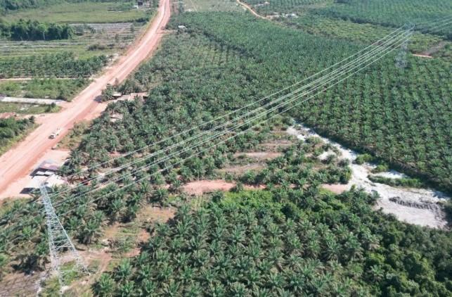 SUTT Kendawangan–Sukamara Perkuat Interkoneksi Listrik Kalbar-Kalteng dan Dukung Pemerataan Energi
