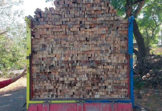 Pengangkutan Kayu Ilegal di Meru Betiri Digagalkan, Tiga Pelaku Ditangkap dan Truk Disita