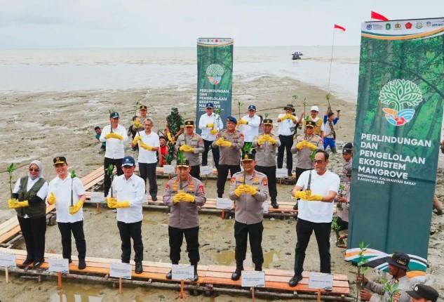 Kapolri Tanam Mangrove di Mempawah, Ajak Semua Pihak Jaga Lingkungan Demi Masa Depan Anak Cucu