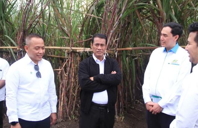 Danantara Kucurkan Rp1,5 Triliun untuk Beli Gula Petani yang Menumpuk di Gudang