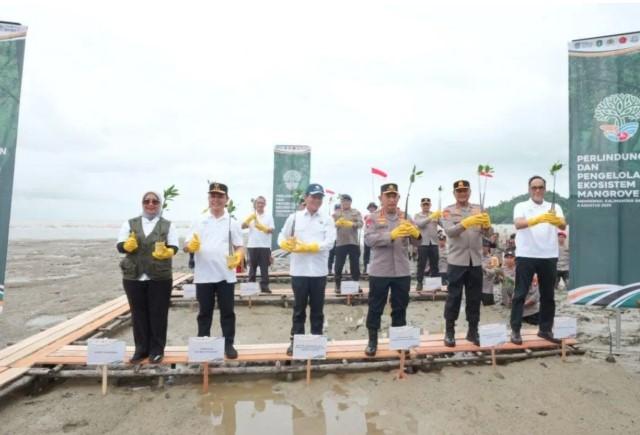 Antam Tanam Mangrove di Mempawah untuk Pulihkan Ekosistem Pesisir
