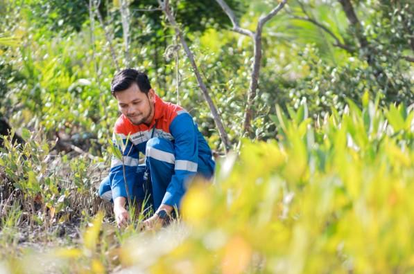 Lestarikan Ekosistem Pesisir, Pertamina Hadir Dalam Pengembangan Kawasan Mangrove dan Pengelolaan Sampah Kamal Muara