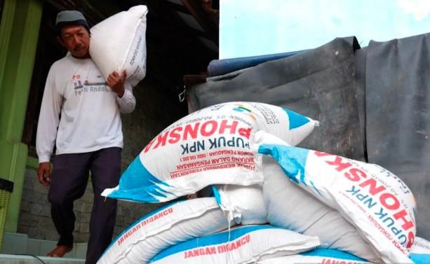 Petani Cirebon Nikmati Kemudahan Tebus Pupuk Subsidi, Produksi Sawah Meningkat