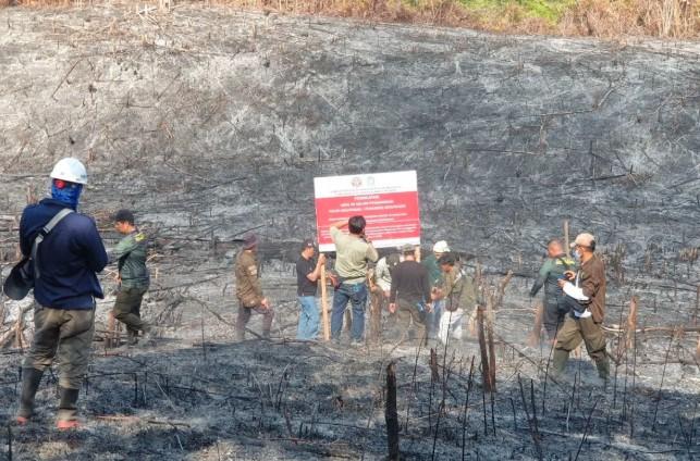Kemenhut Segel 10 Perusahaan Terkait Karhutla, Tegaskan Penegakan Hukum Tanpa Toleransi