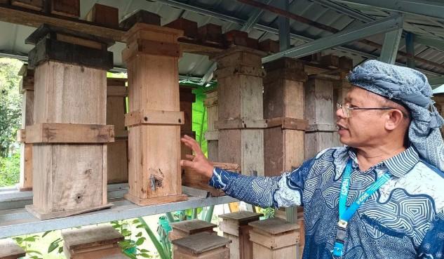 Guru Besar IPB Kembangkan “Apartemen” Lebah Trigona untuk Produksi Madu dan Pemberdayaan Masyarakat