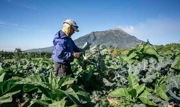 SNA Terbaru Ubah Cara Ukur Ekonomi, Indonesia Hadapi Peluang dan Tantangan