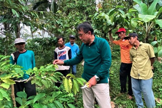 Tim Doktor Mengabdi UB Dampingi Petani Kalipuro Tingkatkan Produktivitas Kopi secara Organik