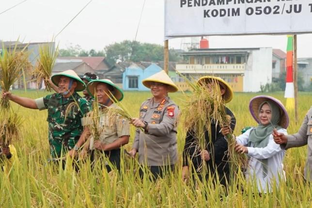 Panen Serentak di Rorotan Jadi Momentum Penguatan Ketahanan Pangan Jakarta Utara
