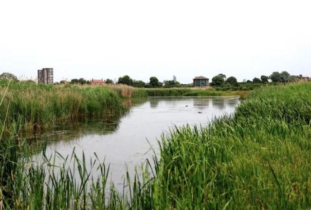 Kekeringan Parah Melanda Inggris, Dinyatakan sebagai Insiden Nasional yang Signifikan