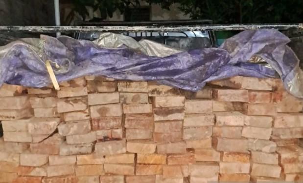 Kemenhut Tangkap Pemilik Kayu Ulin Ilegal di Kutai Timur, Ancam Ekosistem Hutan Kalimantan