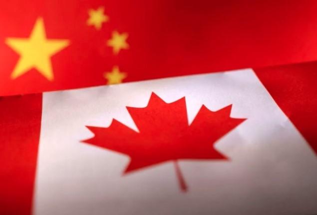 China Selidiki Dugaan Dumping Pati Kacang Polong Kanada, Industri Domestik Alami Kerugian