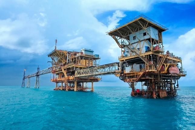 Kinerja Positif Pertamina Semester I 2025 Dinilai Strategis Capai Swasembada Energi