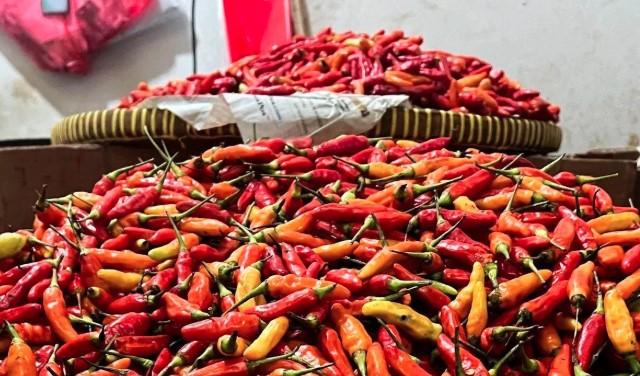 Harga Pangan Nasional Turun Jelang Pertengahan Agustus, Cabai dan Beras Ikut Terkoreksi