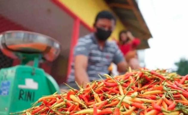 Harga Pangan Nasional Menurun, Cabai Rawit dan Bawang Merah Alami Penurunan Tertinggi