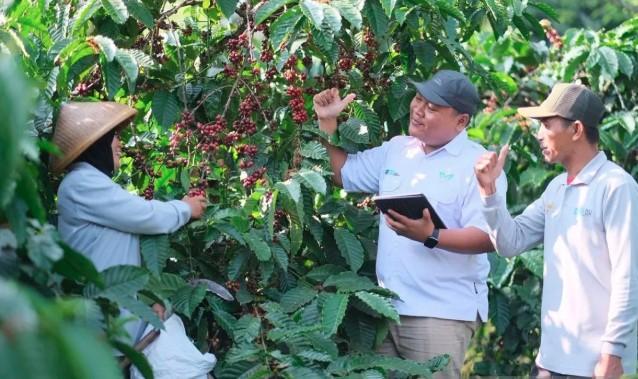 Warung Kopi di Kauman Lor Jadi Simbol Perubahan: Perkebunan Bukan Sekadar Bisnis, Tapi Jalan Hidup