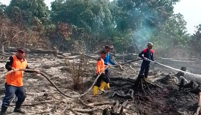 Karhutla di Aceh Barat Berhasil Dipadamkan, BPBD Masih Lakukan Pemantauan