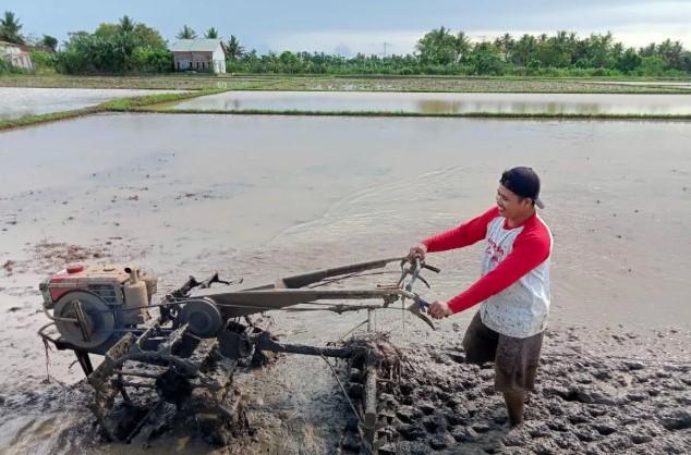 Makna Kemerdekaan di Mata Rakyat Akar Rumput: Antara Simbol, Nafkah, dan Harapan Keadilan Sosial