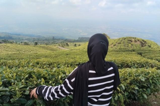 Peringati HUT ke-80 RI, 825 Pendaki Padati Puncak Gunung Dempo Selama Tiga Hari