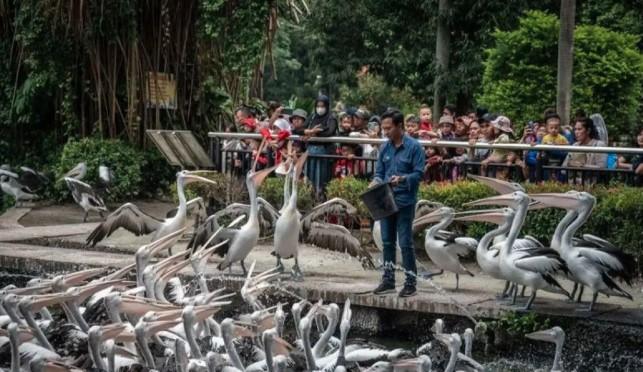 Libur HUT RI, Ragunan Dikunjungi 46.467 Wisatawan dalam Tiga Hari