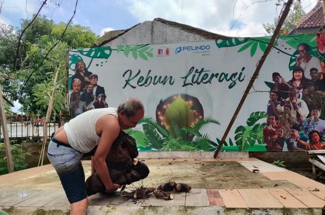 Mewujudkan Ketahanan Pangan dari Pekarangan Rumah