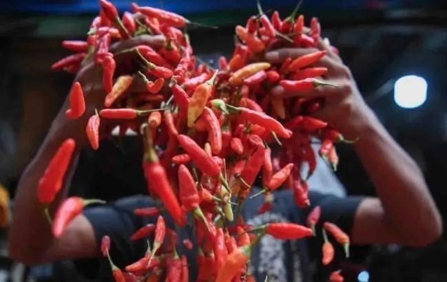 Harga Pangan Turun di Seluruh Indonesia, Beras, Cabai, dan Minyak Goreng Alami Penurunan Signifikan