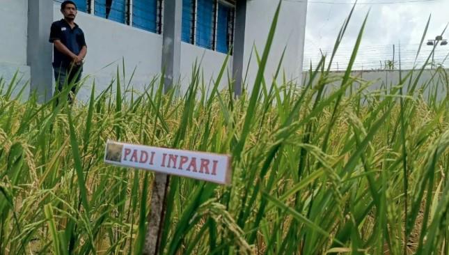 Program Ketahanan Pangan Ditingkatkan, Lapas di Bangka Belitung Kembangkan Hidroponik dan Peternakan
