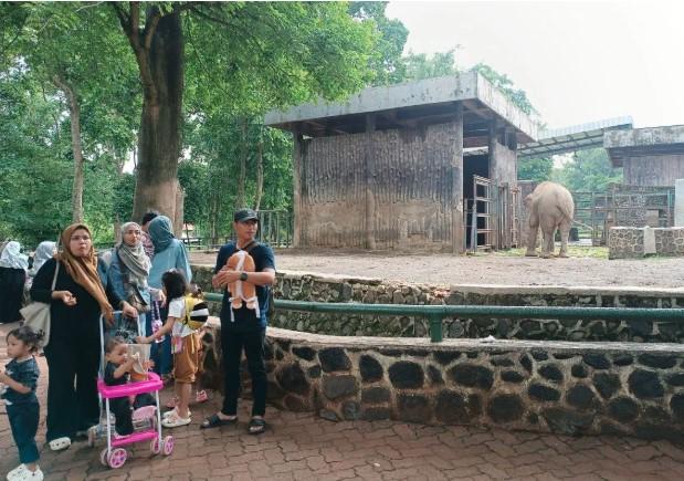 DPRD DKI Dukung Operasional Malam Ragunan, Potensi Wisata dan Ekonomi Baru Jakarta
