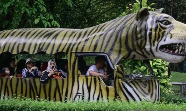 Proyek Revitalisasi Ragunan Dipastikan Tak Ganggu Satwa, Renovasi Bertahap dan Libatkan Ahli