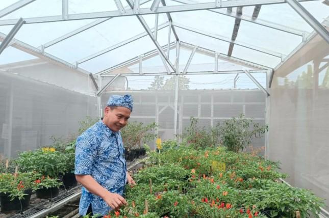 Prof. Dr. Muhamad Syukur, Pemulia Cabai IPB yang Ciptakan Varietas Super Pedas hingga Cabai Pelangi