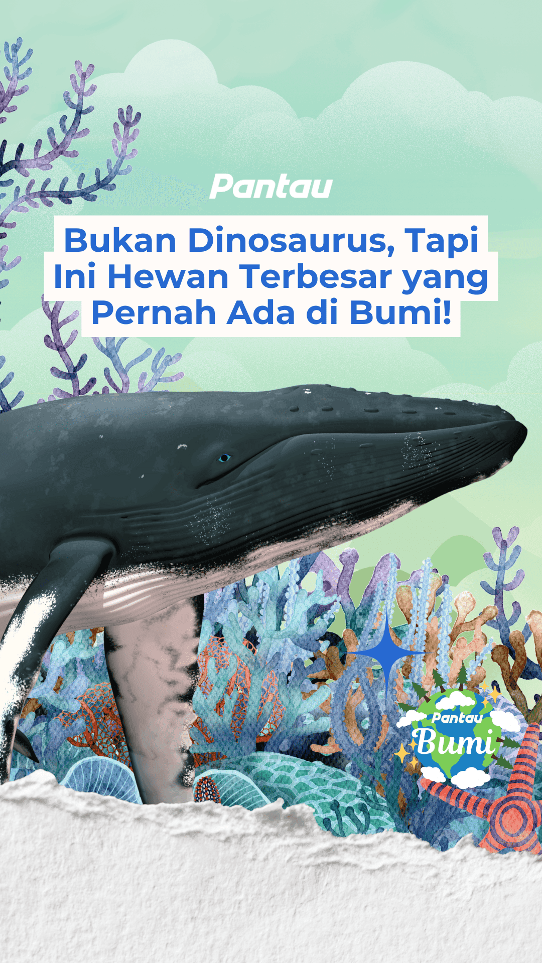 BUKAN DINOSAURUS, TAPI INI HEWAN TERBESAR YANG PERNAH ADA DI BUMI!