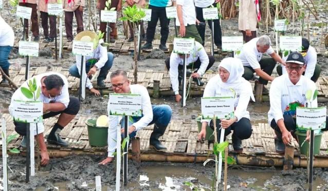 Tanam 17.845 Bibit Mangrove, Semen Indonesia dan Pemprov Jatim Perkuat Ekosistem Pesisir Lewat Festival Mangrove ke-7