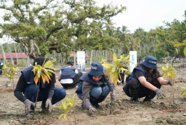 Tanam 343 Ribu Pohon, PNM Wujudkan Komitmen Penghijauan untuk Kemerdekaan Berkelanjutan