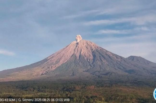 Gunung Semeru Erupsi Pagi Ini, Kolom Abu Capai 700 Meter dan Status Masih Waspada