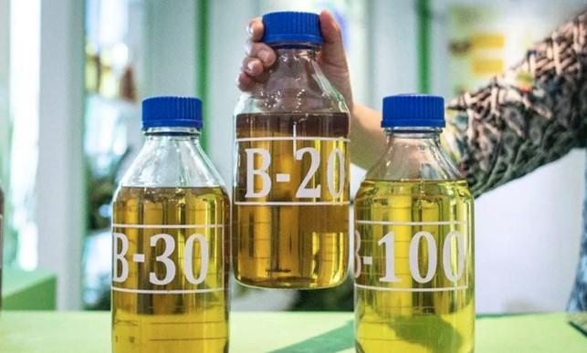 Indonesia Menang Sengketa Biodiesel Melawan Uni Eropa di WTO, UE Didesak Cabut Bea Masuk Imbalan