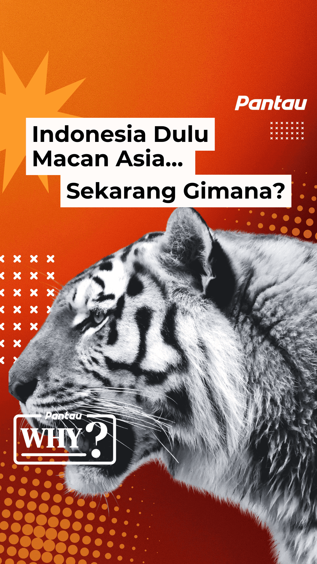 INDONESIA DULU MACAN ASIA… SEKARANG GIMANA?