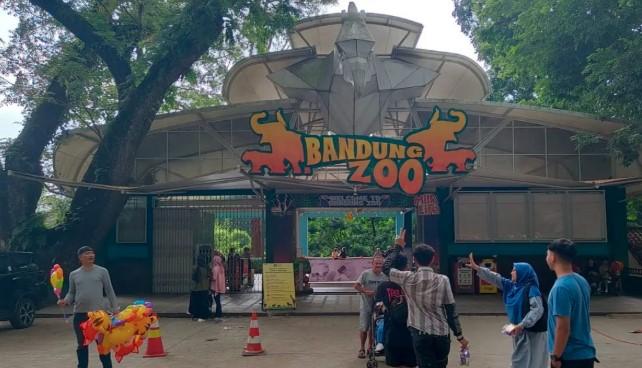 Wali Kota Bandung Muhammad Farhan Digugat Terkait Kasus Bandung Zoo, Salah Satu Penggugat Masih Berstatus Terdakwa Korupsi