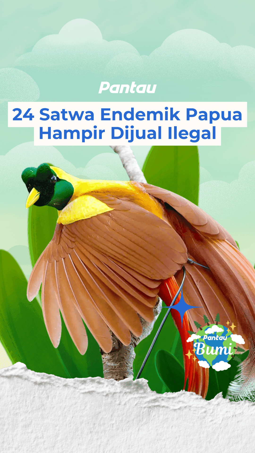 24 SATWA ENDEMIK PAPUA HAMPIR DIJUAL ILEGAL