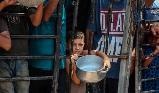 UNRWA Peringatkan Krisis Pendidikan di Gaza: Ratusan Ribu Anak Kehilangan Hak Bersekolah Akibat Perang