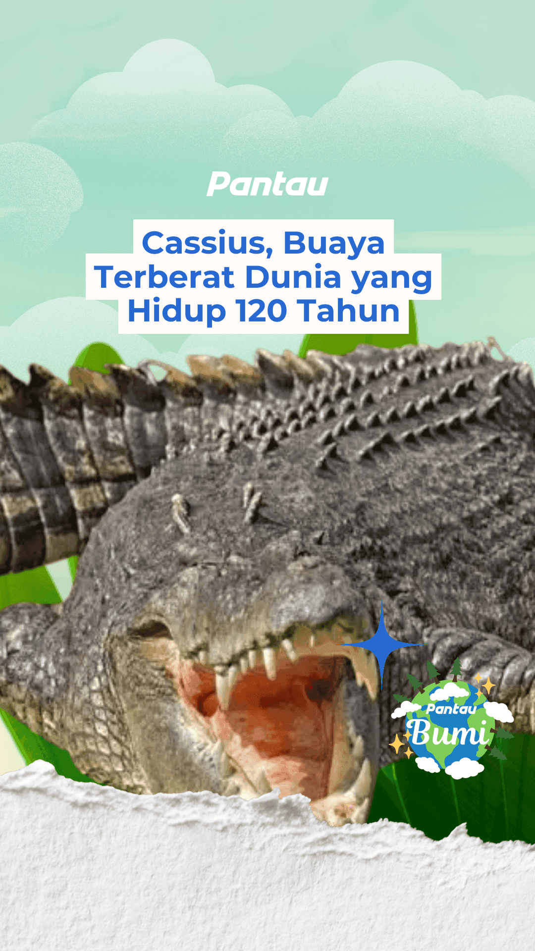 CASSIUS, BUAYA TERBERAT DUNIA YANG HIDUP 120 TAHUN