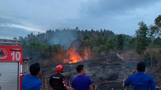 Karhutla Landa Klaten, Sragen, dan Aceh Besar: BNPB Pastikan Api Sudah Padam, Penyebab Masih Diselidiki