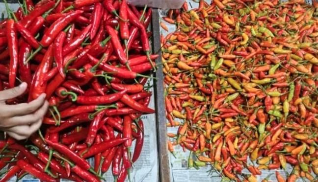 Harga Pangan Turun Serempak, Bapanas Catat Penurunan di Cabai, Beras, dan Minyak Goreng