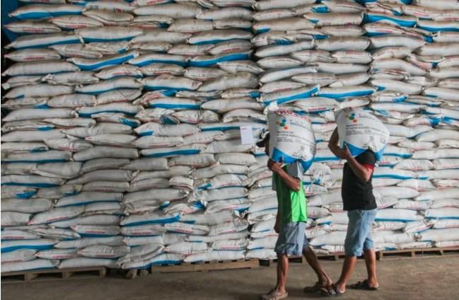 Pupuk Indonesia Siapkan 246 Ribu Ton Pupuk untuk Dukung Musim Tanam di Indonesia Timur