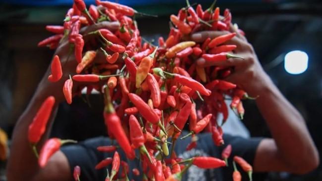 Harga Cabai Rawit Merah di Jakarta Turun Jadi Rp40.000 per Kg, Sejumlah Komoditas Ikut Terkoreksi