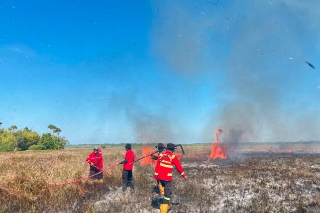 Kebakaran 201 Hektare di Taman Nasional Rawa Aopa Watumohai Berhasil Dipadamkan Setelah 12 Jam Lebih