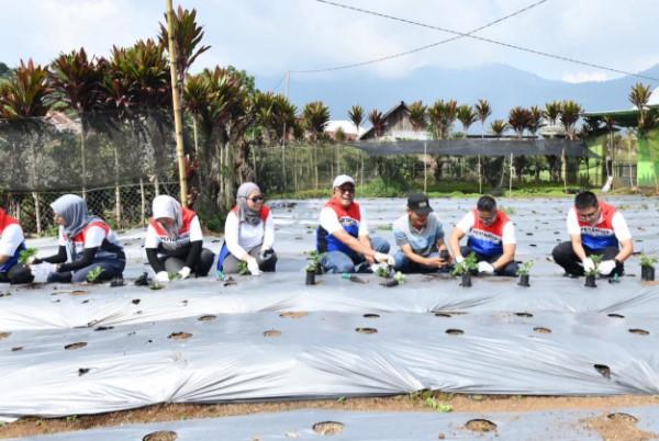 Pertamina Berdayakan Desa Rantau Dedap: Dari Energi Bersih hingga Wisata Edukasi