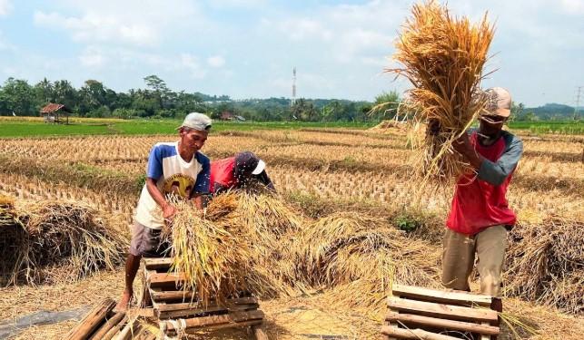 PVTPP Kementan Perkuat Layanan Publik Pertanian, Fokus pada Integritas dan Inovasi Berkelanjutan