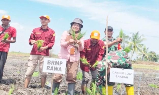 BRMP Rawa Dorong Optimalisasi Lahan Rawa untuk Swasembada Pangan Nasional
