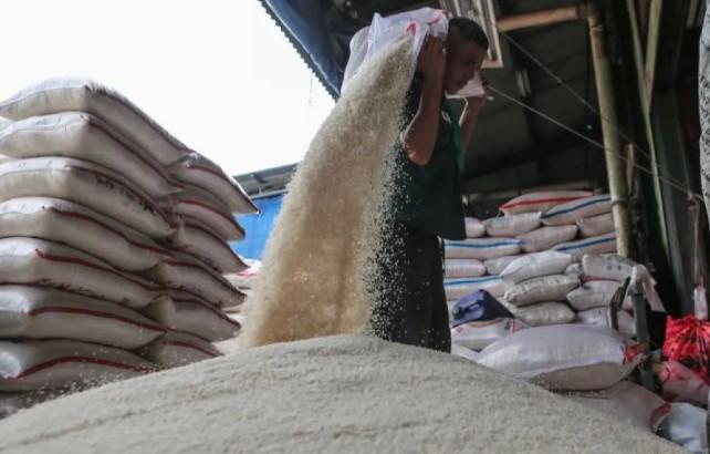 Harga Beras dan Komoditas Pangan Turun, Bapanas Catat Penurunan di Banyak Komoditas Strategis