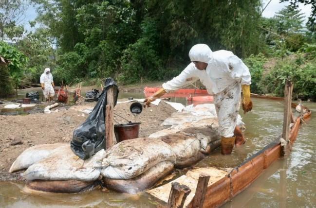 Pakar UMI Peringatkan Dampak Jangka Panjang Tumpahan Minyak PT Vale di Luwu Timur, Tanah Bisa Rusak Puluhan Tahun